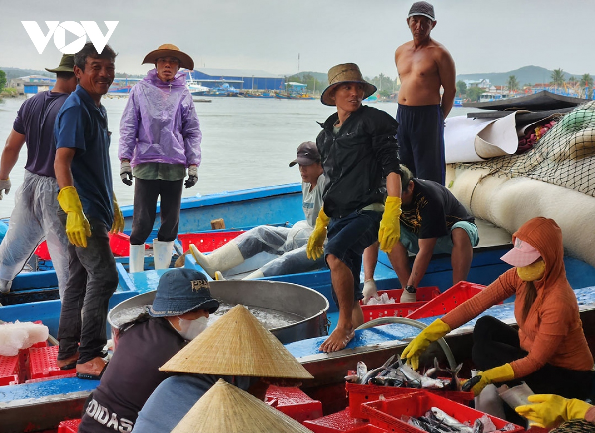 ngu dan quang ngai bam bien xuyen tet o vung bien hoang sa hinh anh 4