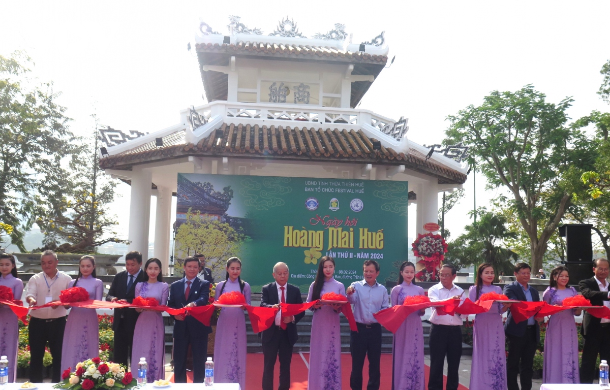 khai mac le hoi hoang mai hue 2024 hinh anh 3 khai mac le hoi hoang mai hue 2024 hinh anh 3