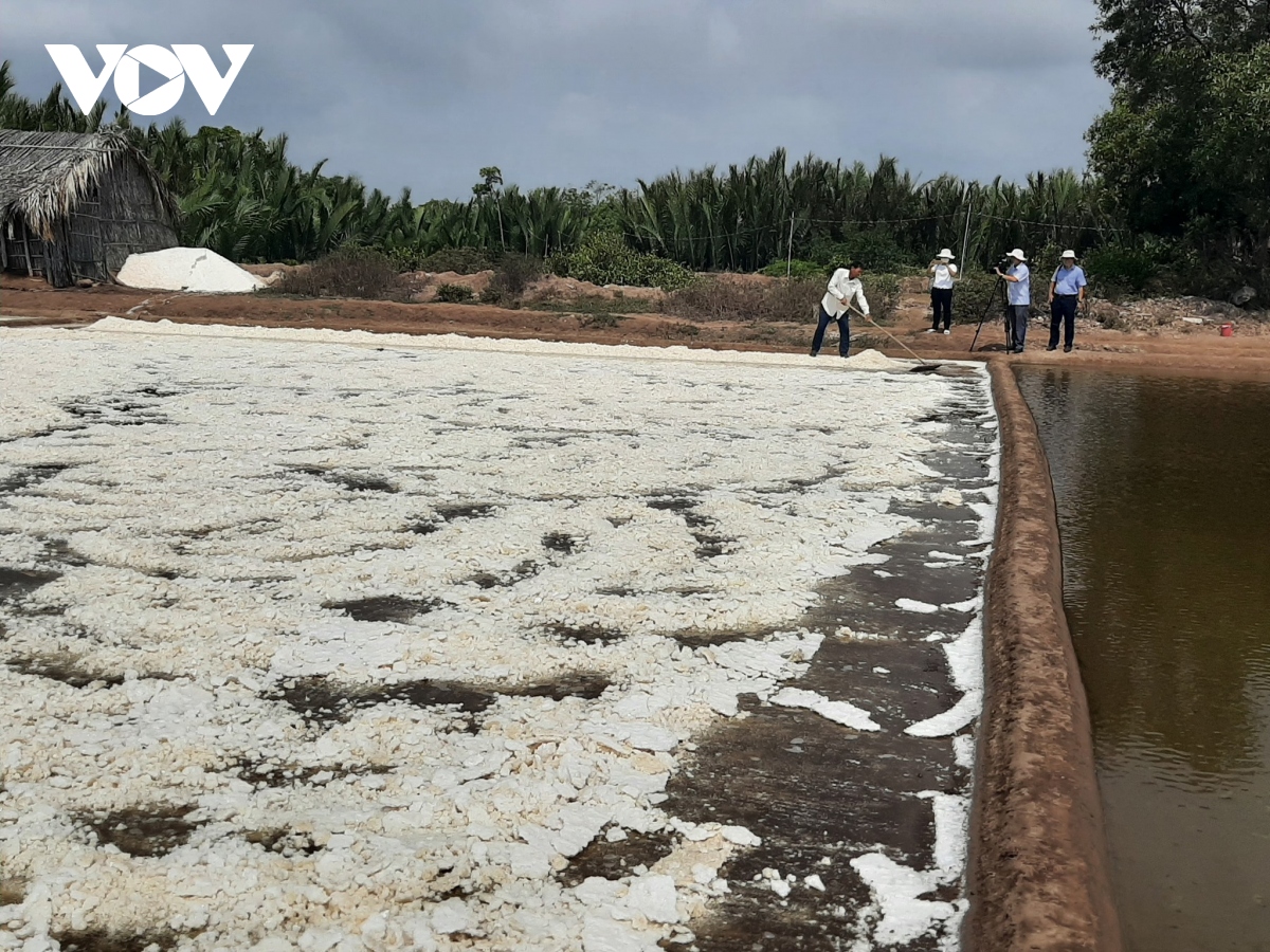 vụ muối đầu năm năng suất cao nhưng giá thấp, diêm dân thất thu hình ảnh 1 vu muoi dau nam nang suat cao nhung gia thap, diem dan that thu hinh anh 1