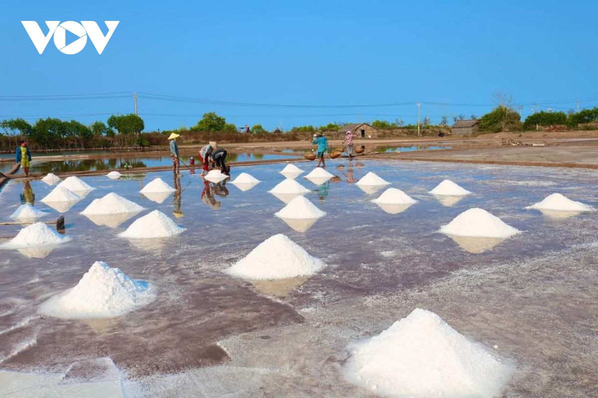 vụ muối đầu năm năng suất cao nhưng giá thấp, diêm dân thất thu hình ảnh 3 vu muoi dau nam nang suat cao nhung gia thap, diem dan that thu hinh anh 3